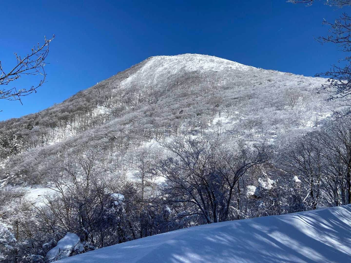 ハマグリ山と青空‼️