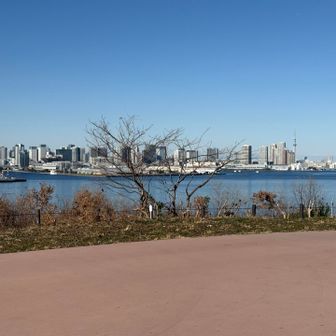 スカイツリーも