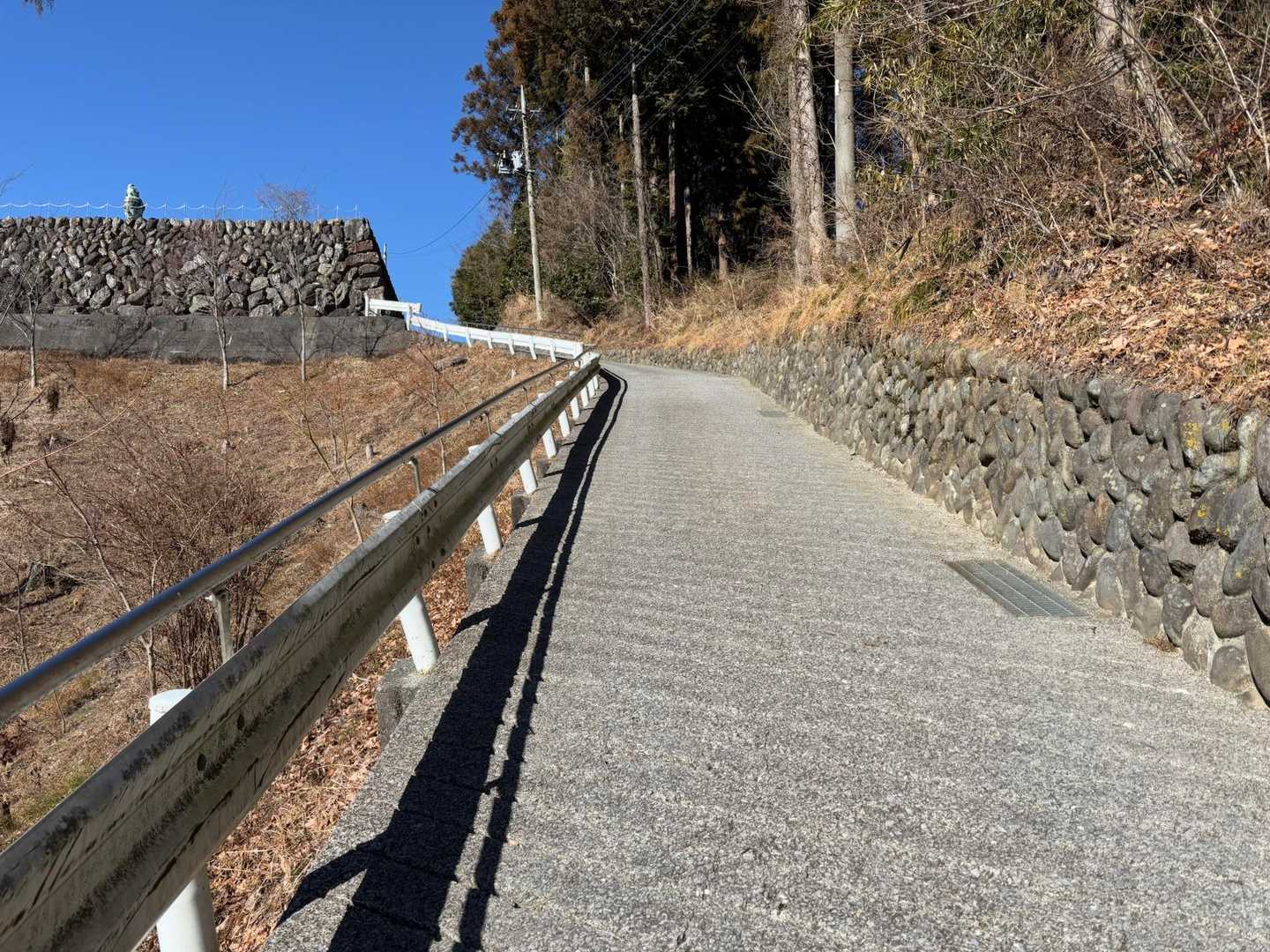 実は昨日の朝、起きたら腰痛に。前日に孫の幼稚園入園のためのお裁縫をやりすぎたのが原因みたいで…。即、接骨院へ行き「背中がカッチカチだ」とあちこちボキボキっと治療をしていただいてスッキリ。午後にはかなり良くなりました。ピラティスのレッスンをしてまたまたスッキリ。
今日は念の為サポーターしてます。
