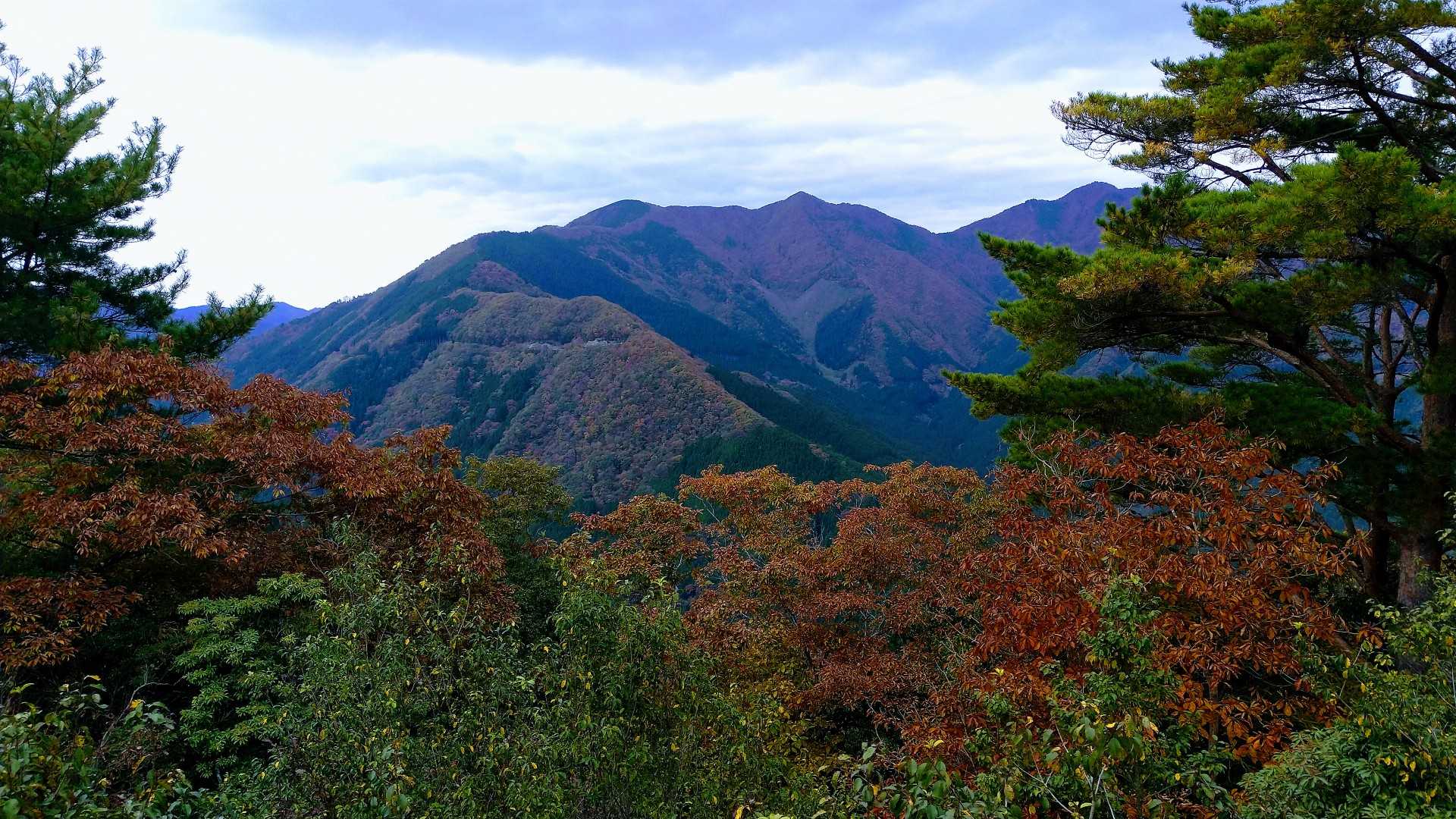 荒尾山、植松山かも😁眺望があるとは思ってなかったので最高だ😆