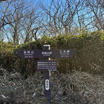 富士山見ながら歩けるお気に入りのコースです🏔️