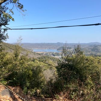 お寺の裏からはイルカ池も見えます。