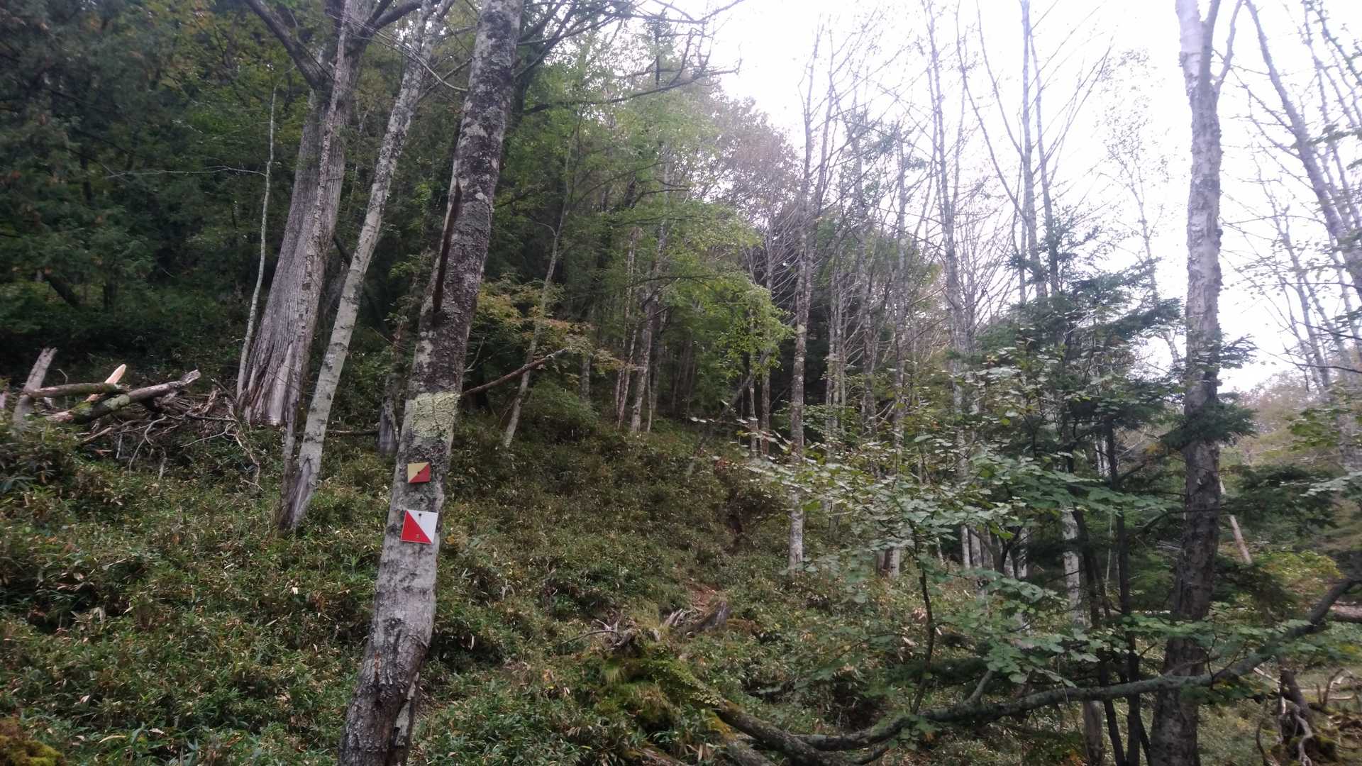 振り返ってパチリ📸最後は急でした😅