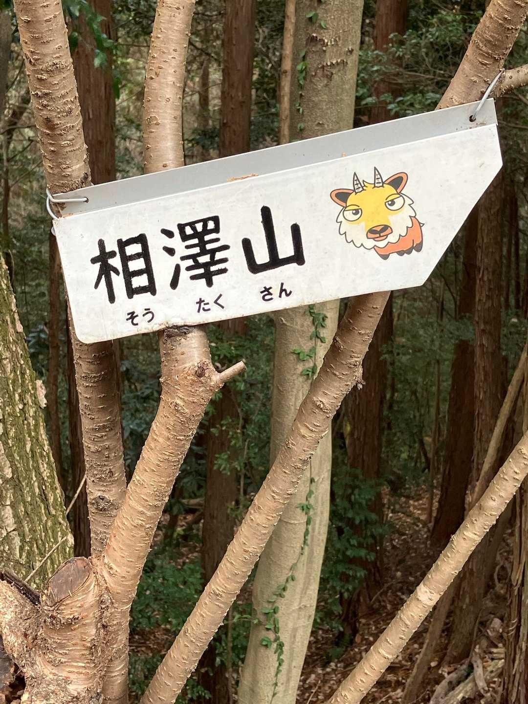 今日は本宮山のみ