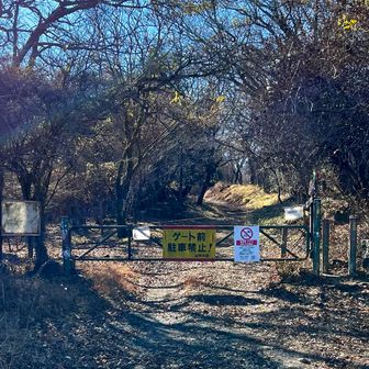 金時山登山口⛰️