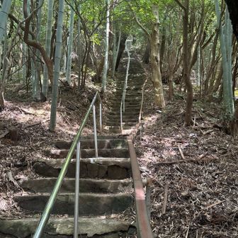 一気に山頂付近まで行くコースでした。
ゼーゼーした。