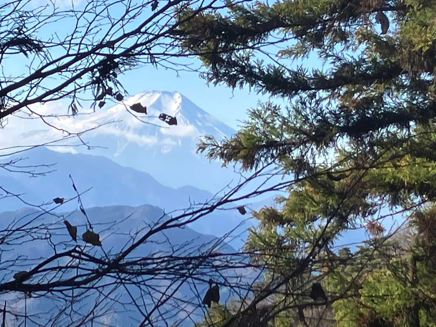 途中、富士山が、良いです、今日も元気出ました
ありがとう😊