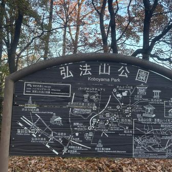 弘法山公園は、桜の名所。次回は春に再来したいです。