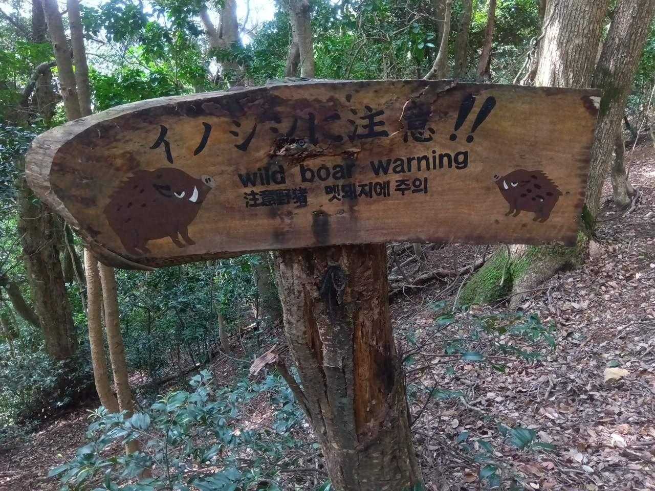 イノシシ🐗注意の標識有ると言う事はイノシシいるんだ‼️