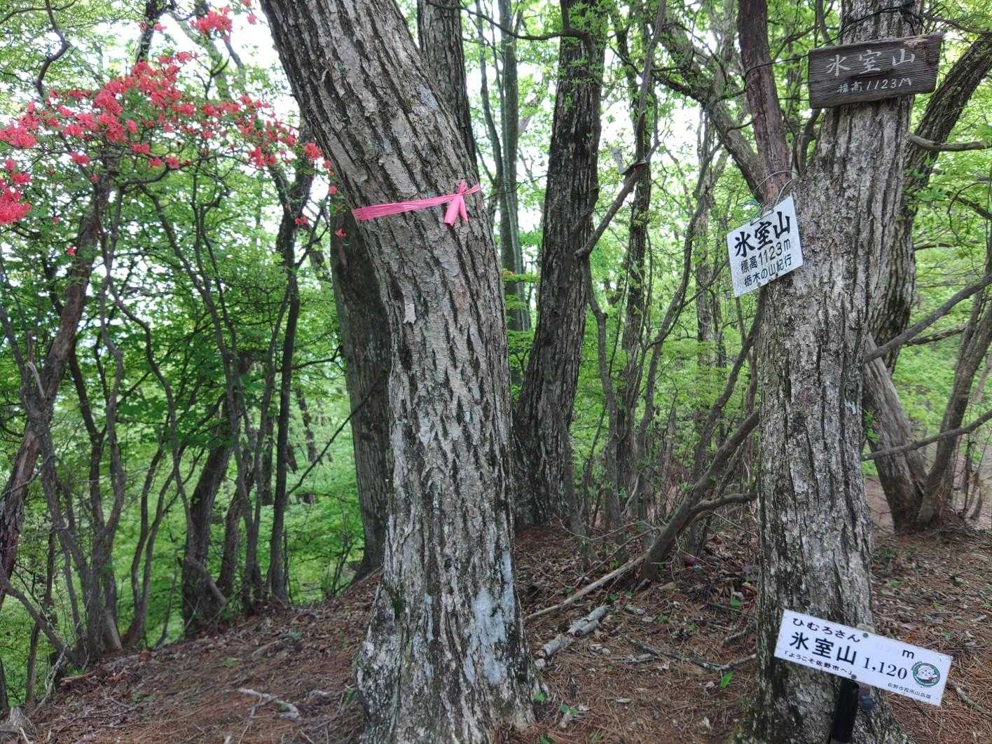 氷室さんファンの聖地
氷室山山頂はおさびしい
氷室さんのパネルは撤去されたか風に飛ばされたか