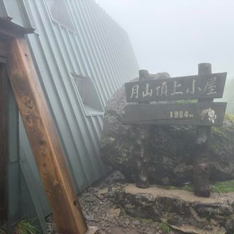 頂上小屋。人気がなかったので宿泊、空いてるかも？日帰りできる山だしね。
月とミヤマクロユリがデザインされた、シンプルで渋い手ぬぐいを購入。前回は閉まっていたので😭