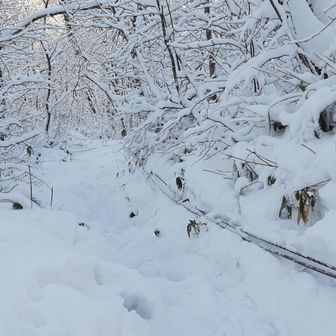 コワ坂名物ロープ場登場！少ない感じはするけどそこそこ雪はあったので転ぶことなく安全に早く下りれました✌