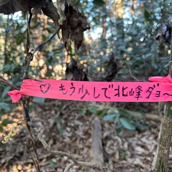 なんかホッとする