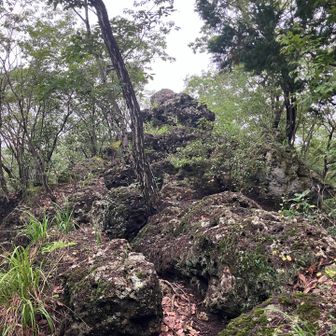 山頂付近は岩が多かった🪨