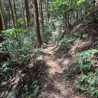 やっと緩やかに道に😃