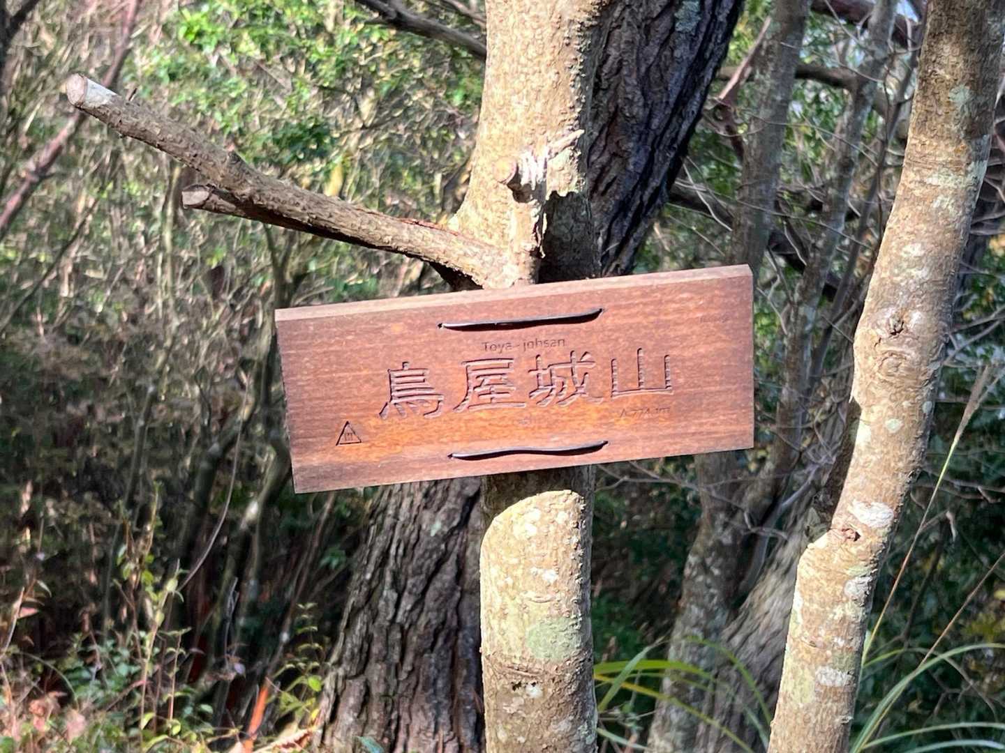 山頂標識がありました。
しかし眺望は無し。