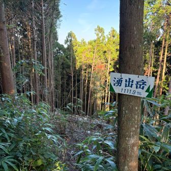 スルーしていた湧出岳に寄り道