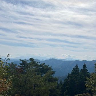 霞んではいますが、丹沢山方面の山々が見えています⛰️