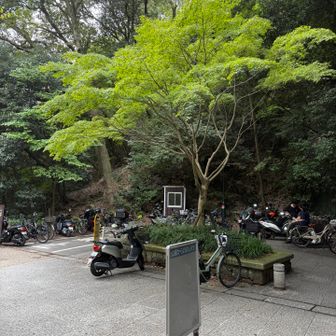 戻りましたー！
🚲乗って帰りまーす
