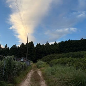 今朝は涼しい〜