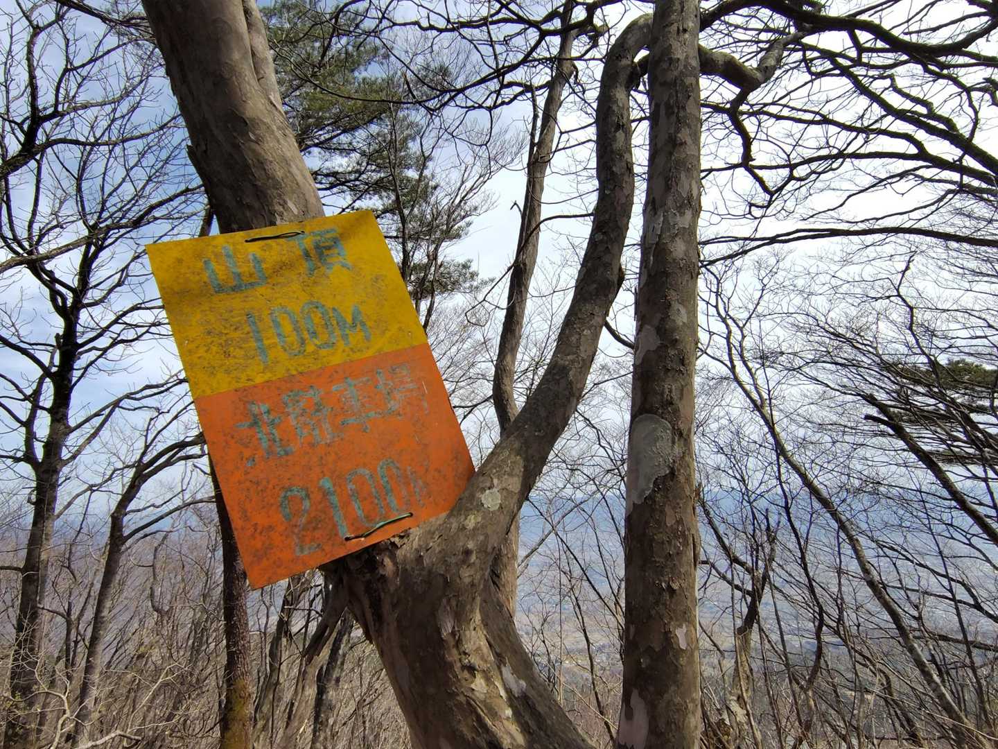 山頂まであと100メートル
「あと800m」あたりから「あとどれくらい？」の声が出始めました🤭