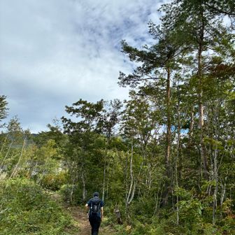 暑くなってきました、朝ラーからのラン🏃