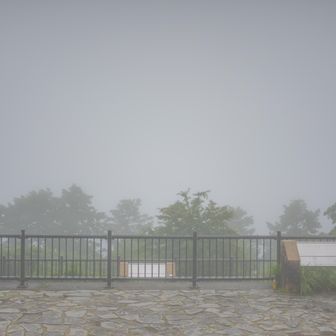 到着