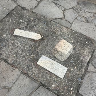 登ったら三角点らしきもの有り