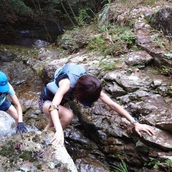 NIinA.☘︎𓅯 ⸒⸒ 