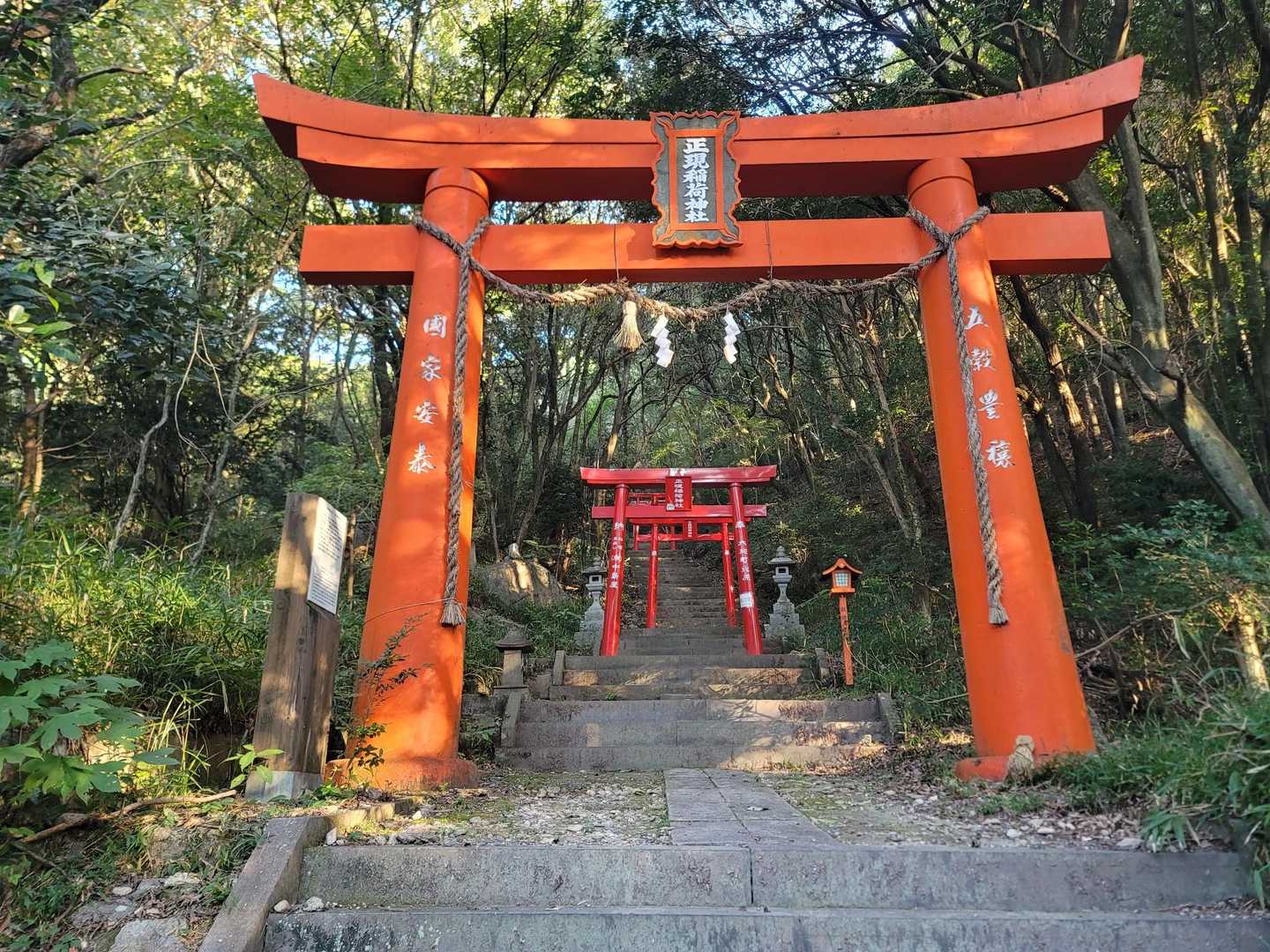 ではスタート👍