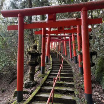 プチ伏見稲荷感です…