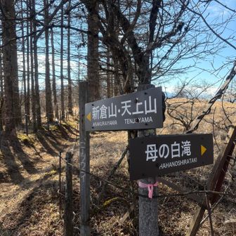 この先は次回かなぁ