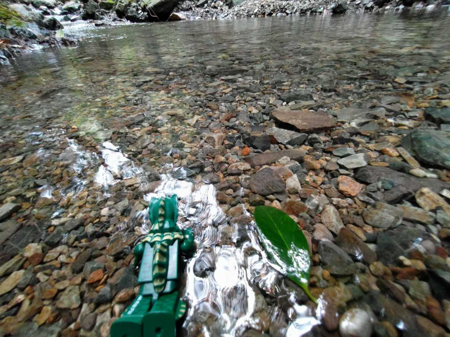 ざぶーん🐟💦