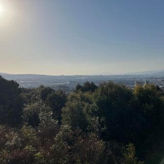 山頂からの眺望1