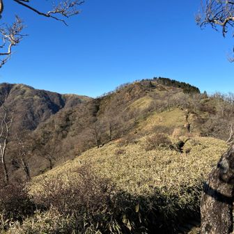 丹沢山からの下りで振り返る