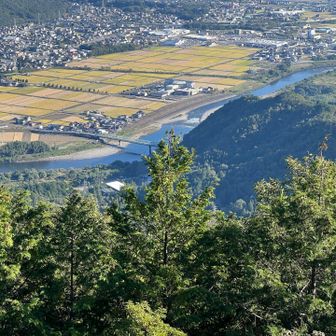 長良川