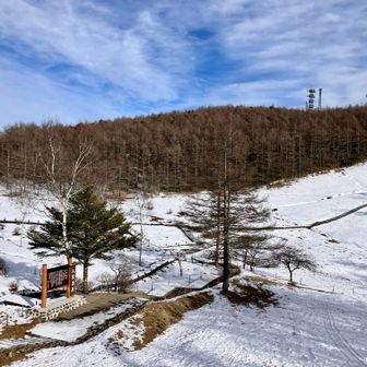 帰りは、入笠湿原を回って、