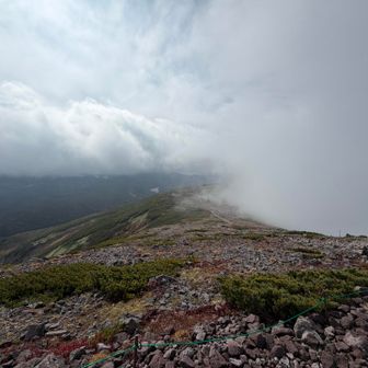 山頂到着！
桂月岳があるらしいですが見えない、、、
すごい風でした笑