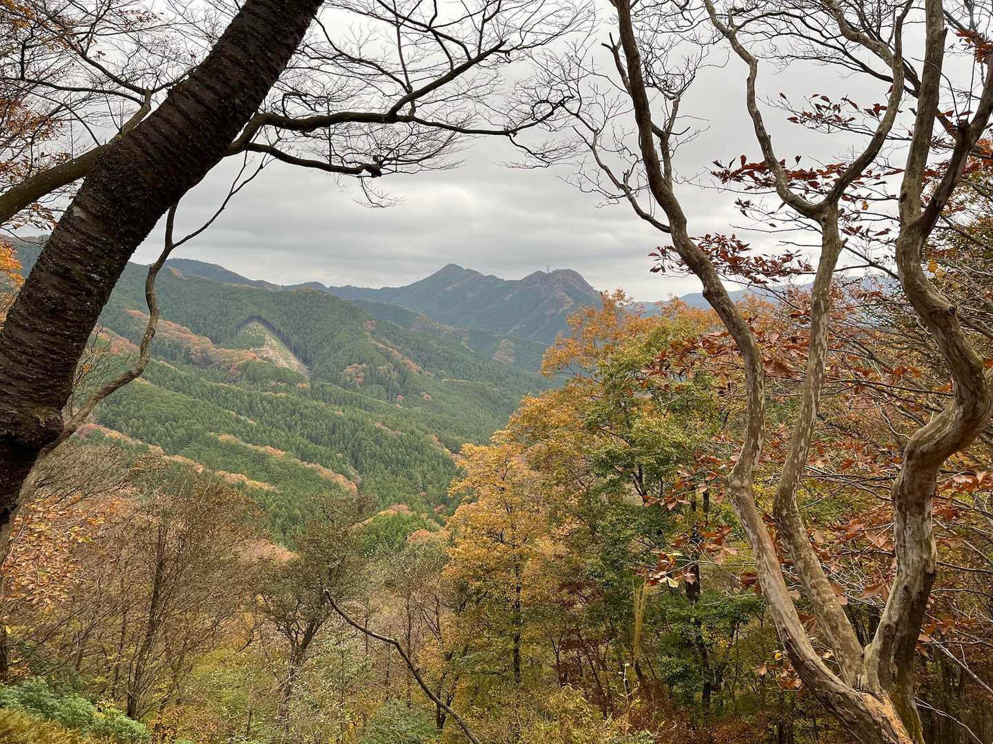 紅葉を眺めながら下山します。