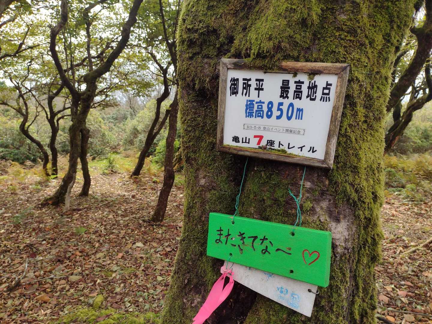 御所平🚩