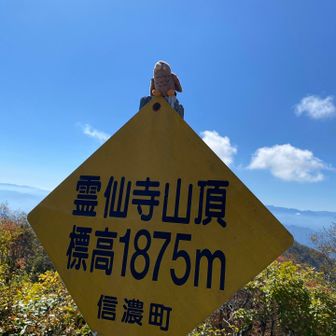 霊仙寺山頂は絶景！
タカオくんも満足
この時はザック背負ってたタカオ