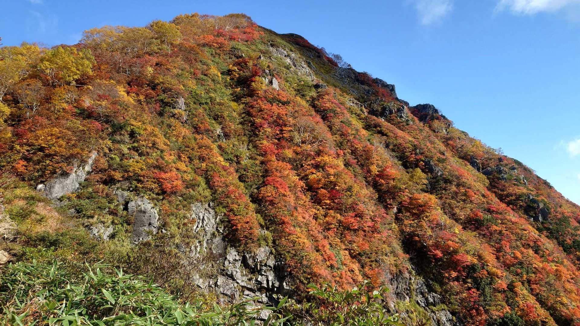 大朝日岳側からの小朝日岳が1番美しかったです