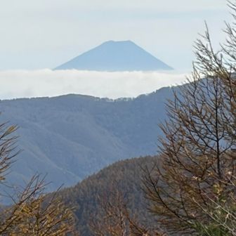 富士山🗻と雲海
