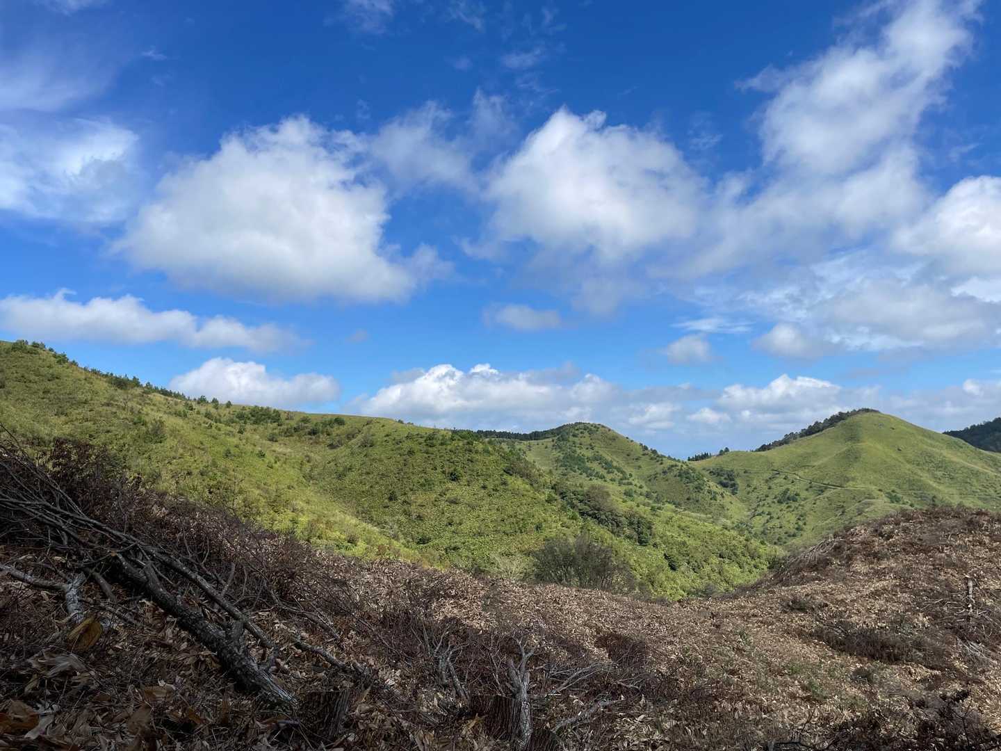 展望台下登山口-雲月峠登山口-岩倉山-雲月山 周回コースの写真
