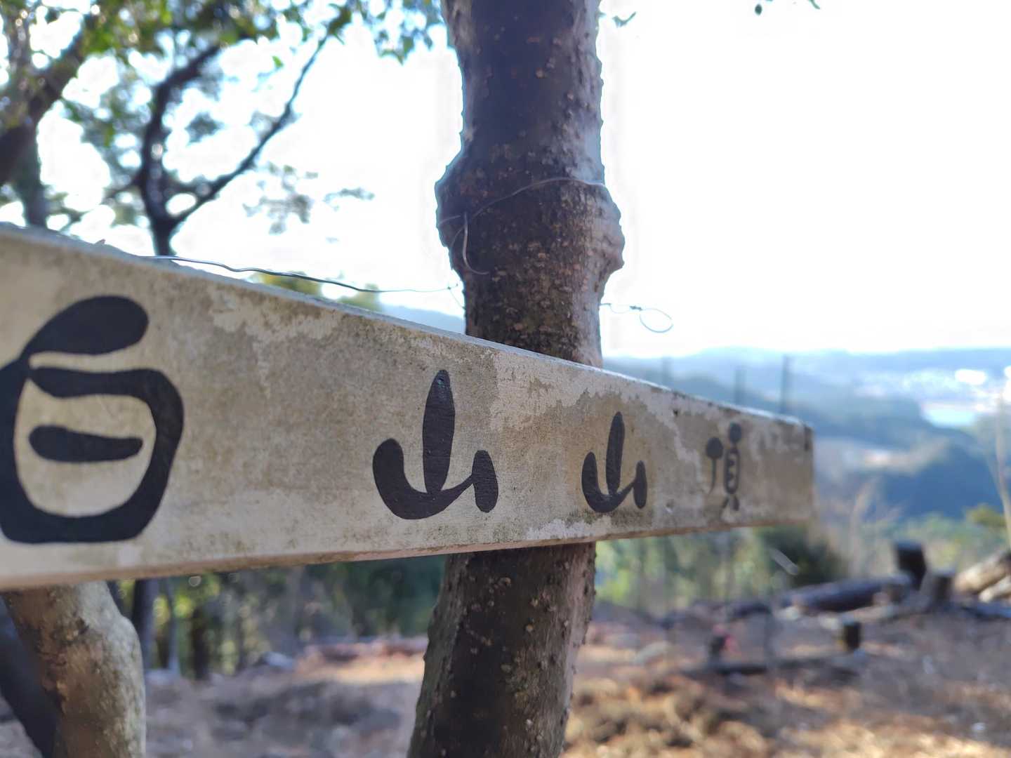 山頂到着