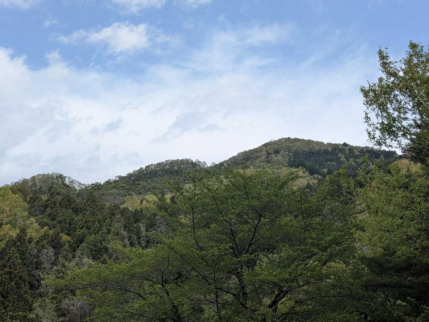 女神山全容…あそこから降りて来た〜😀