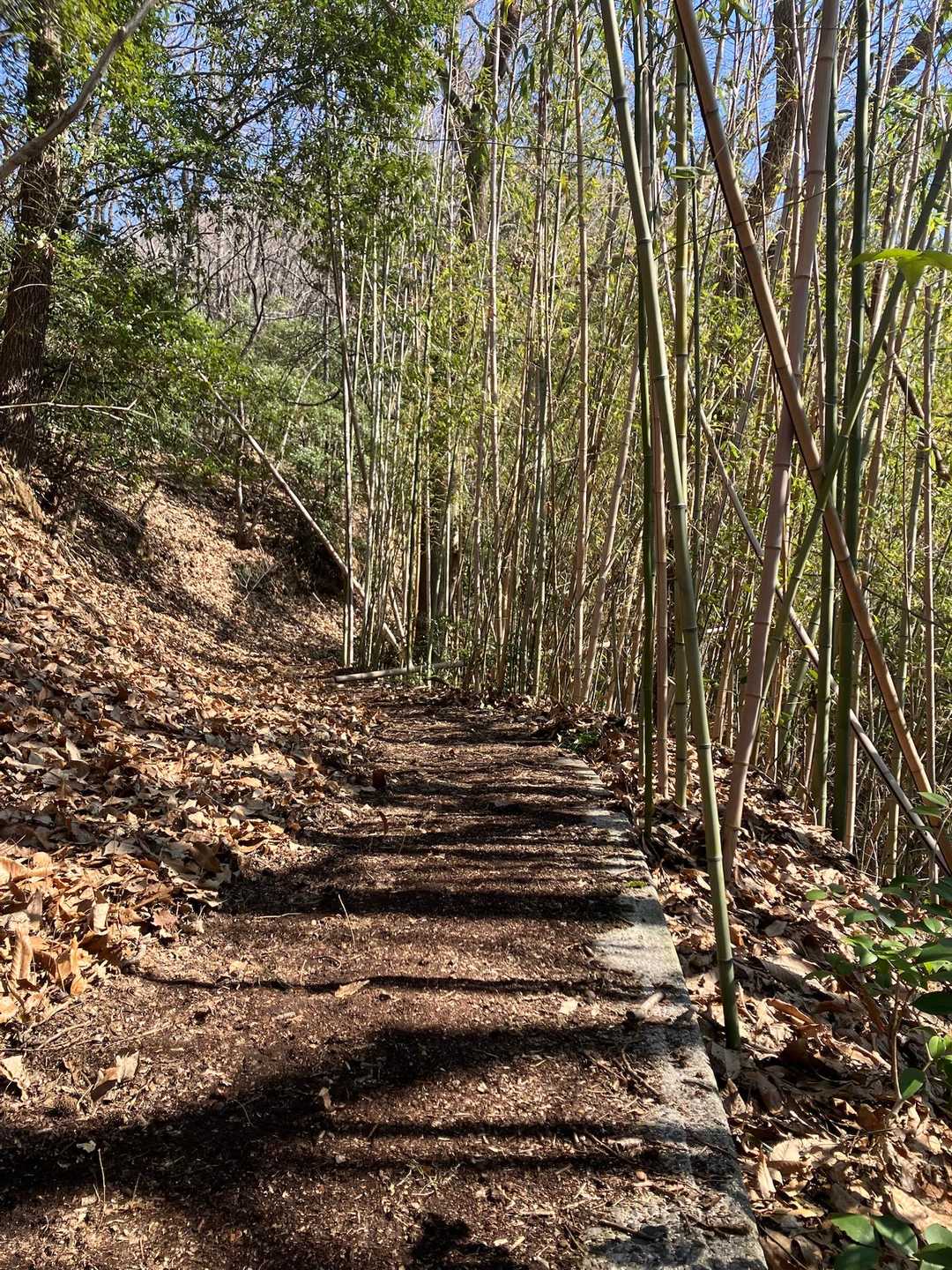 平照寺-東部山 往復コースの写真