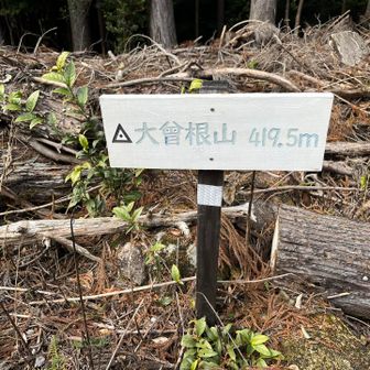 大曽根山に登頂🎉
✳︎開けているが、眺望は無い