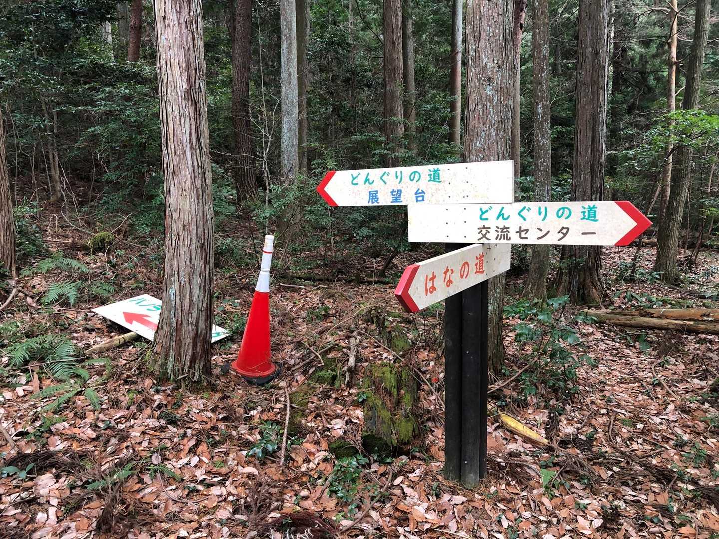 展望台へ