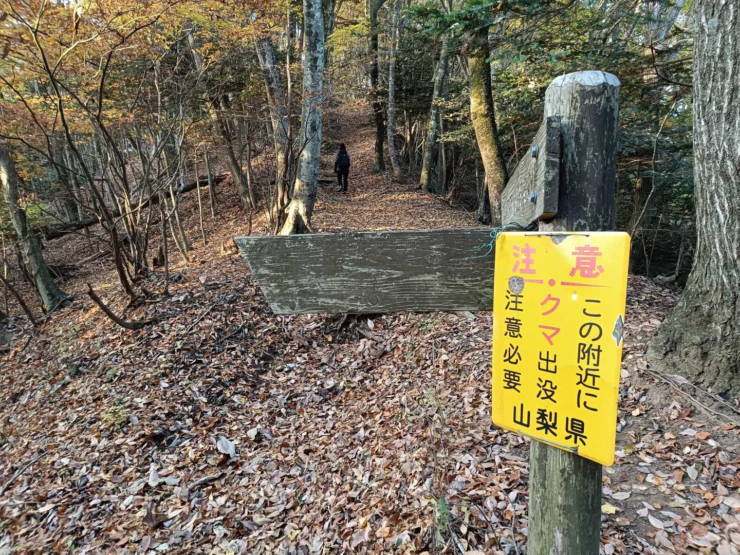 この辺も熊🐻がでるのか